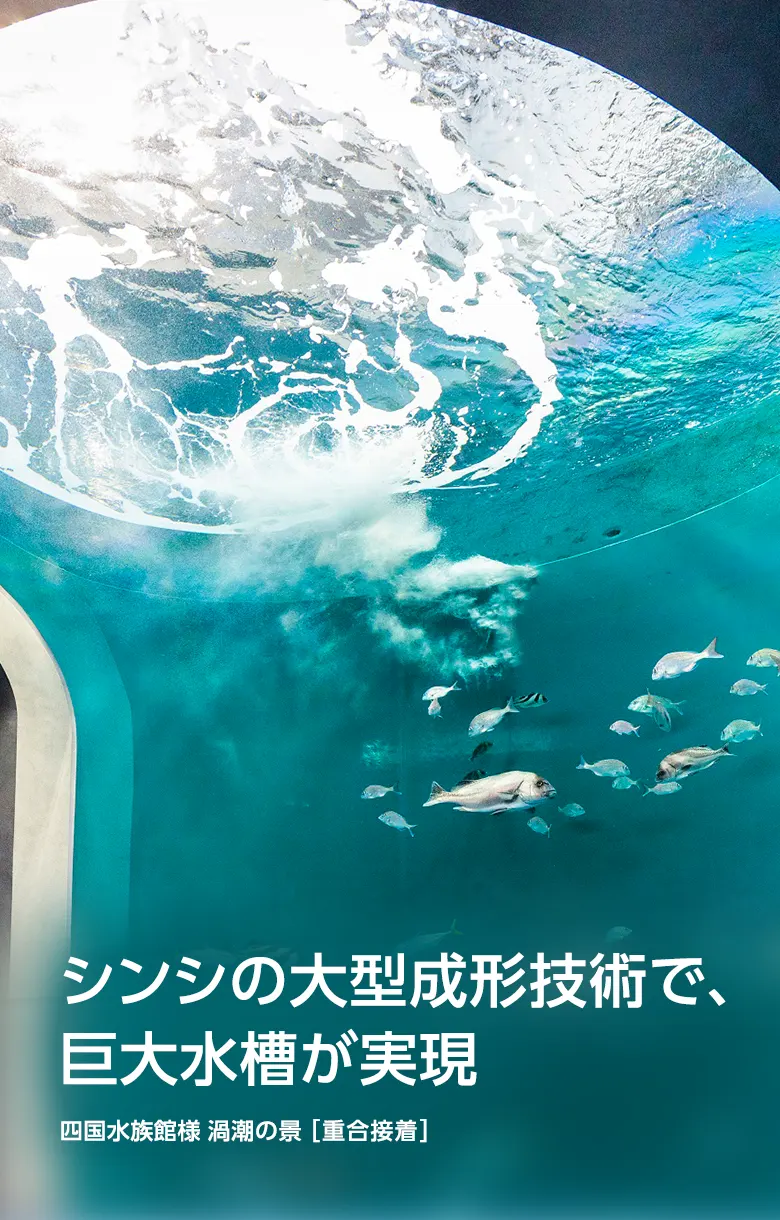 株式会社シンシ様